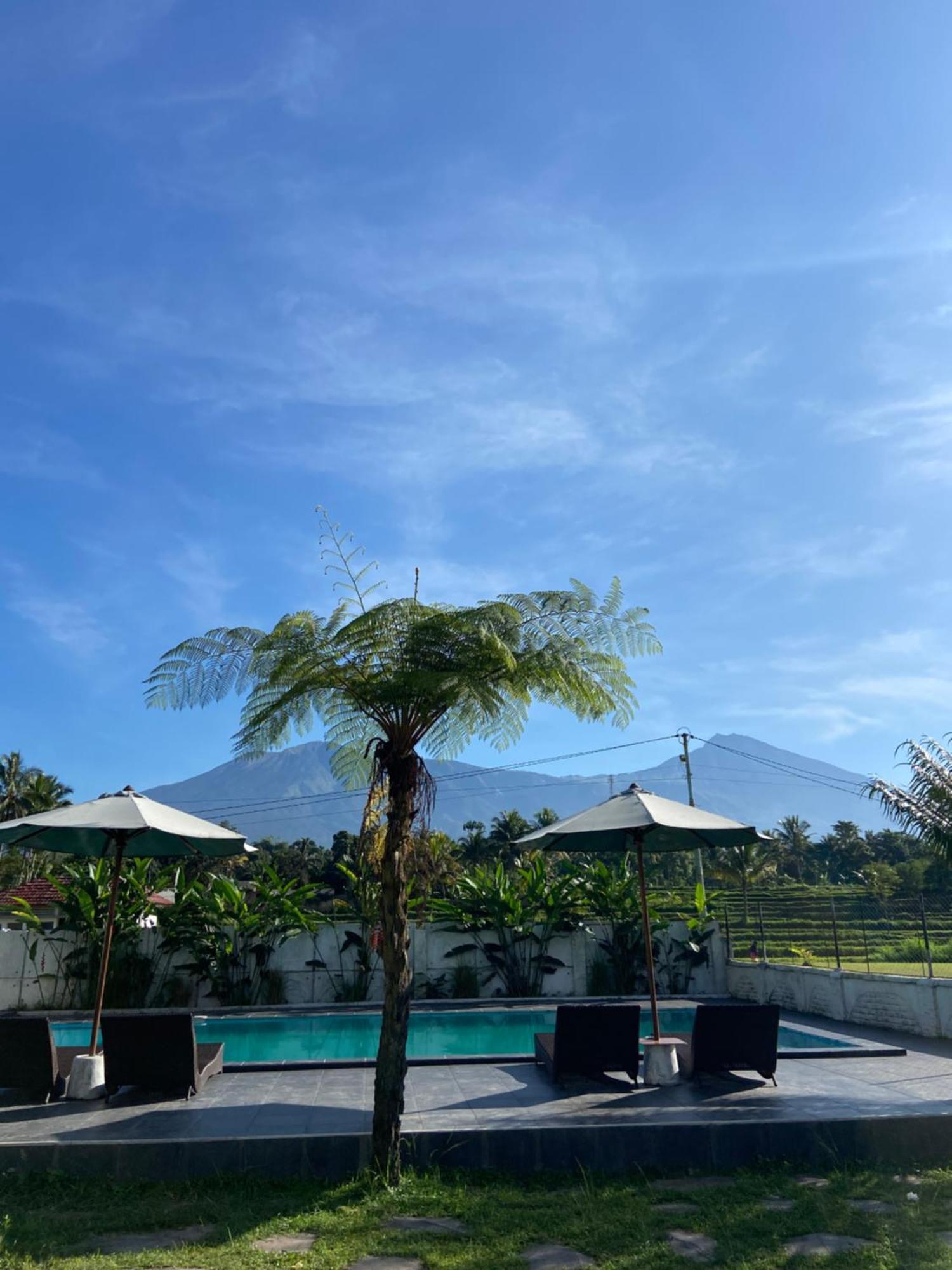 Pondok Tetebatu Cottages And Cafe Εξωτερικό φωτογραφία